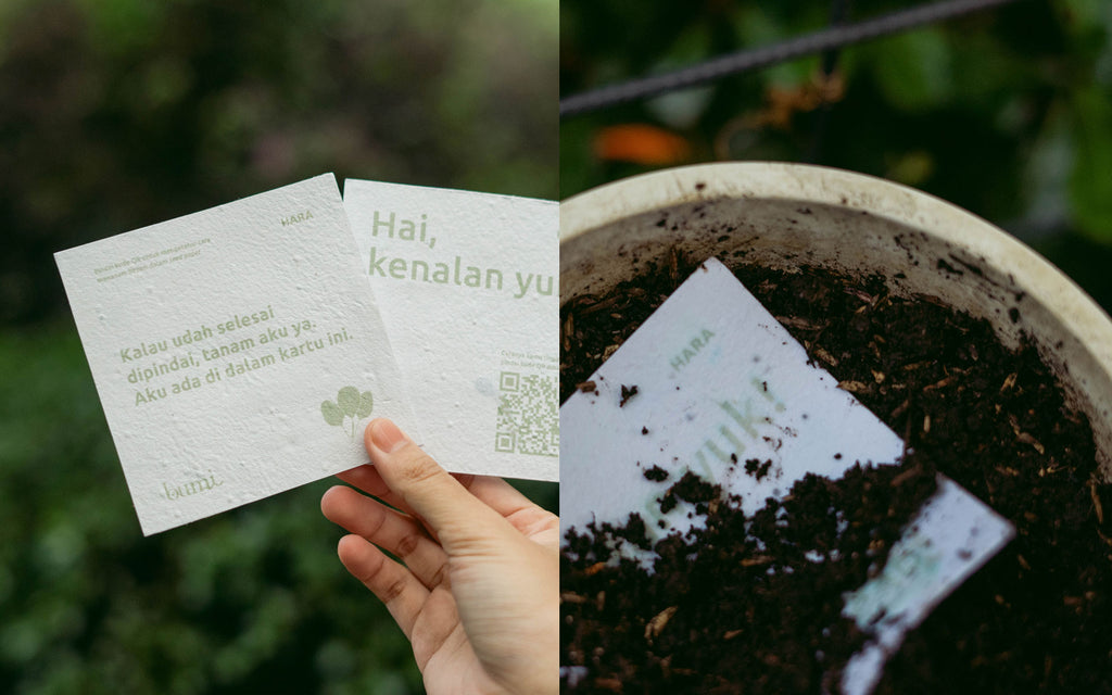Cara Menanam Benih Bayam Dalam Seed Paper
